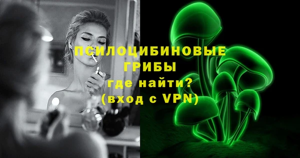 мяу мяу мука Аркадак