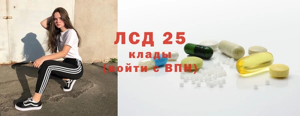 мяу мяу мука Аркадак
