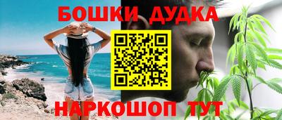 гашик Гатчина