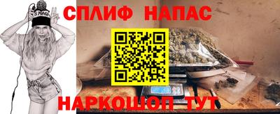 гашик Гатчина