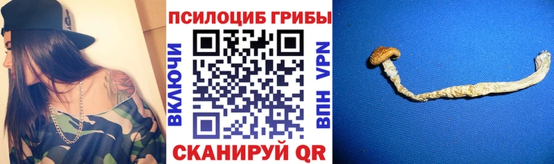 Галлюциногенные грибы мухоморы  Кунгур 