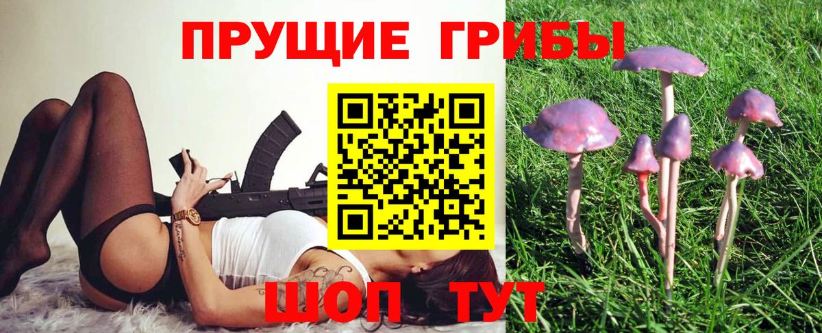 Кунгур  Галлюциногенные грибы ЛСД  Вход с VPN 