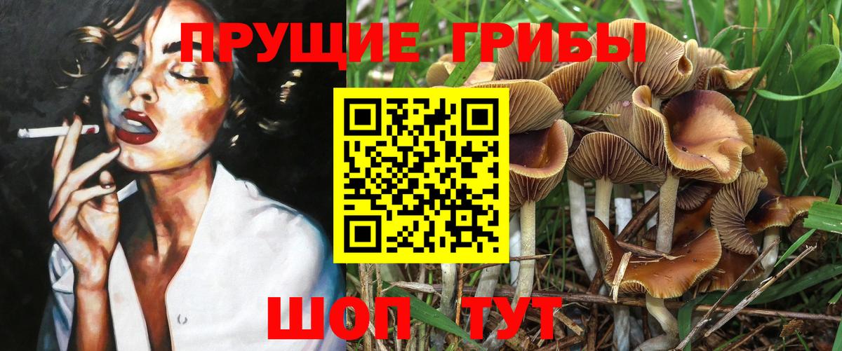 Псилоцибиновые грибы ЛСД Кунгур