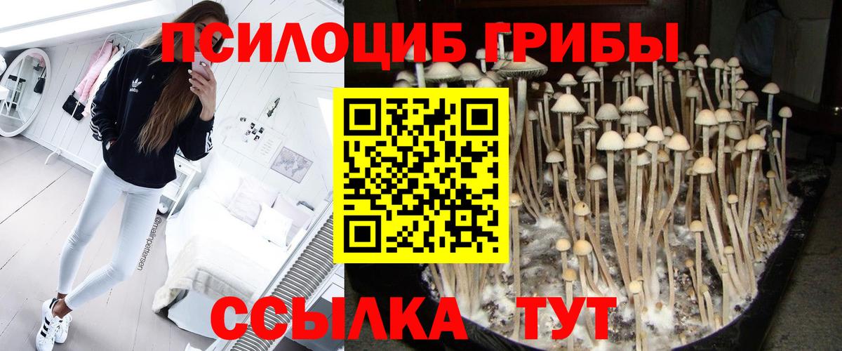 Псилоцибиновые грибы прущие грибы Кунгур